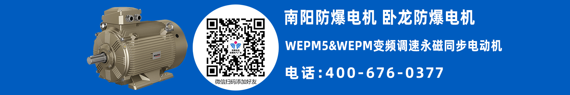 南阳WEPM电机